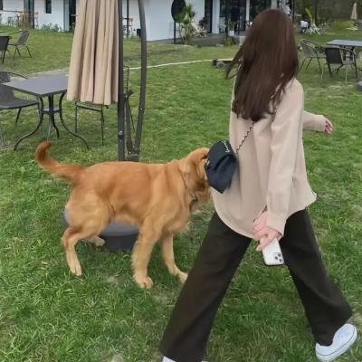 小罪